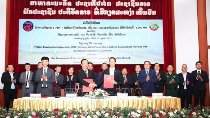 Vietnam, Laos strengthen energy cooperation